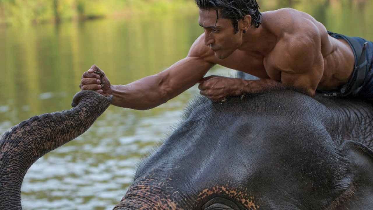 Junglee Movie News: Latest Updates & Reviews