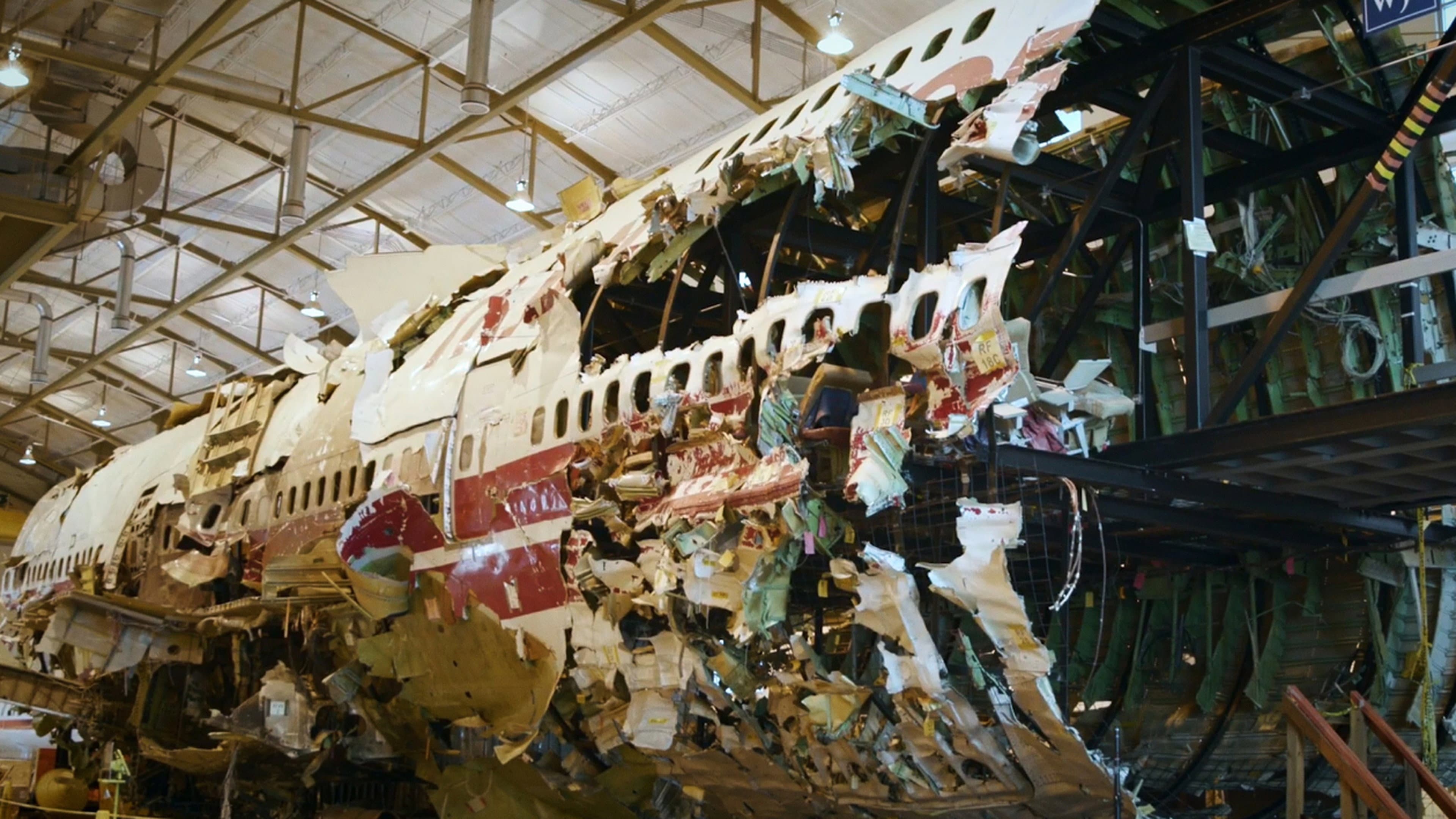 Freefall Boeing Review: True-Crime Thriller Exposé
