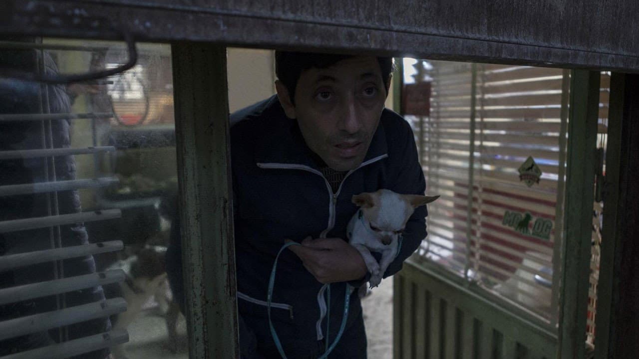 Dogman still 5