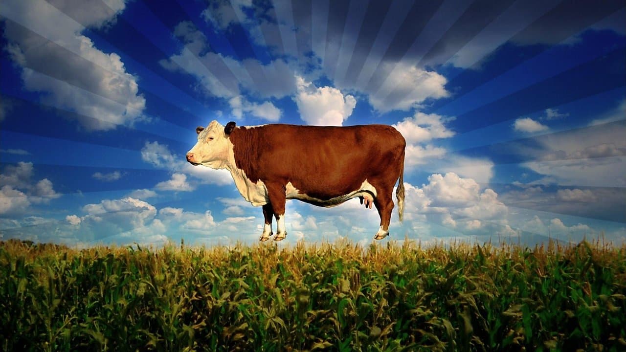 Food, Inc. still 1