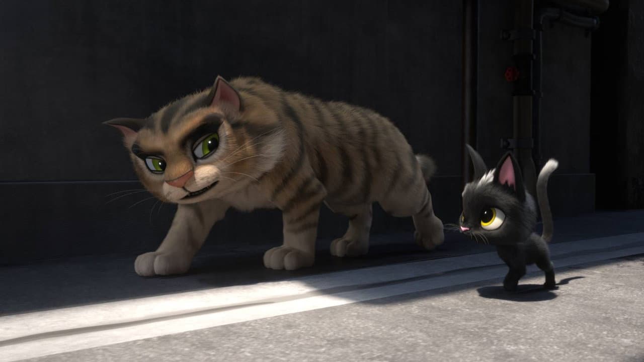 Rudolf the Black Cat still 5