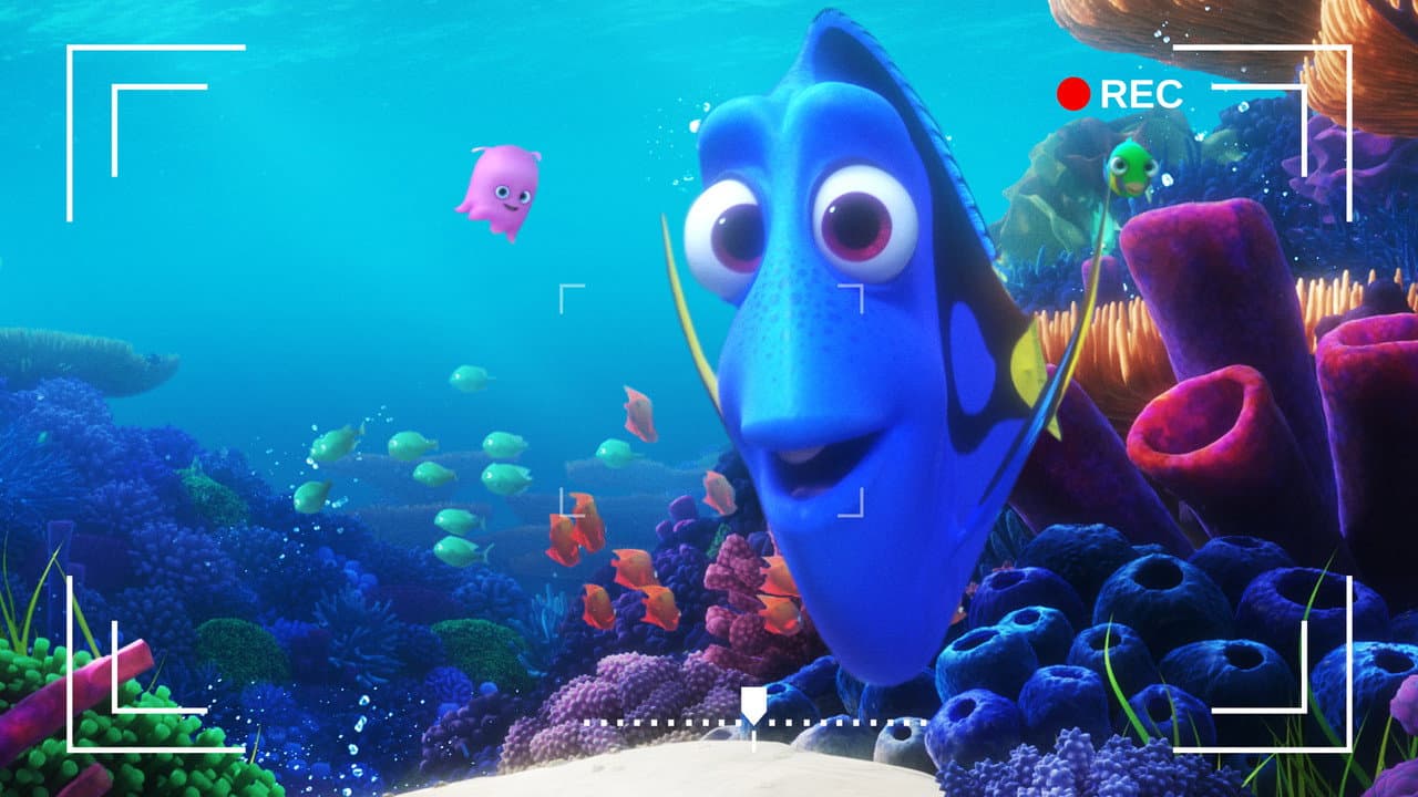 Dory's Reef Cam still 3