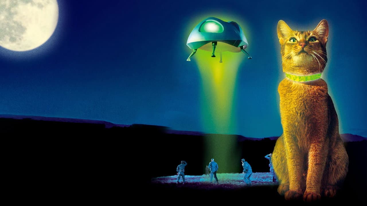 The Cat from Outer Space still 4