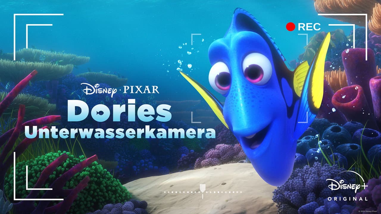 Dory's Reef Cam still 8