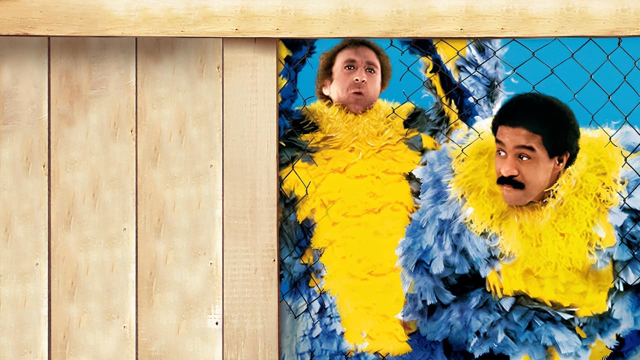 Stir Crazy still 1