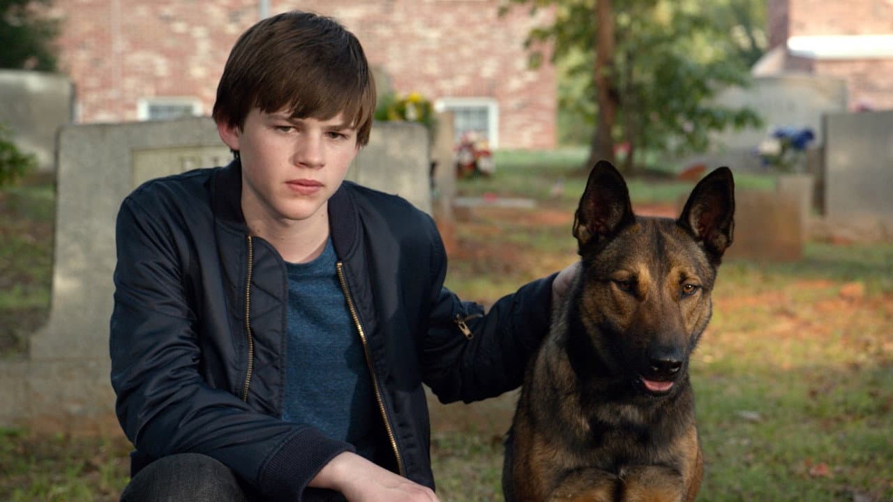 Max still 4