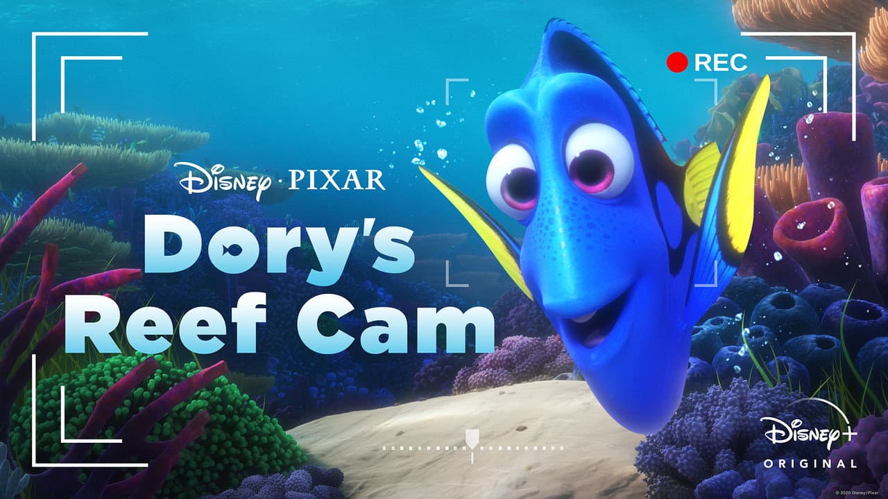 Dory's Reef Cam still 7