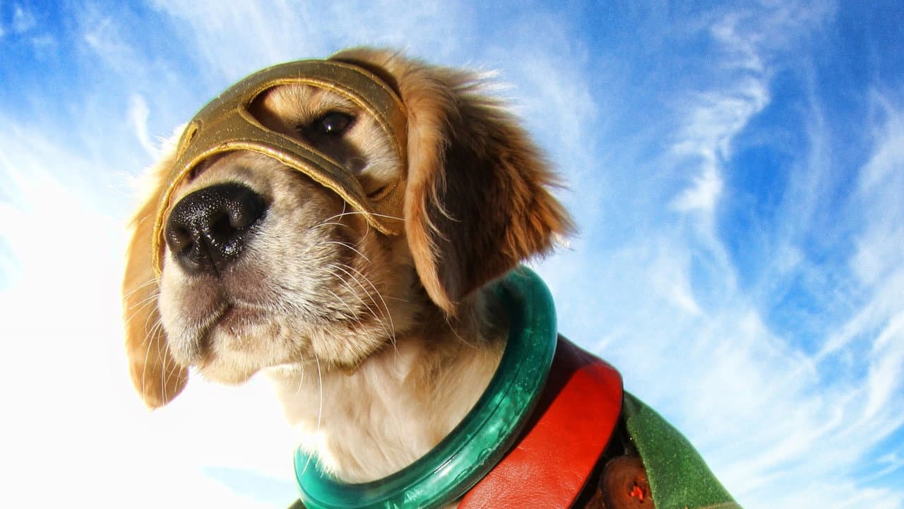 Super Buddies still 4
