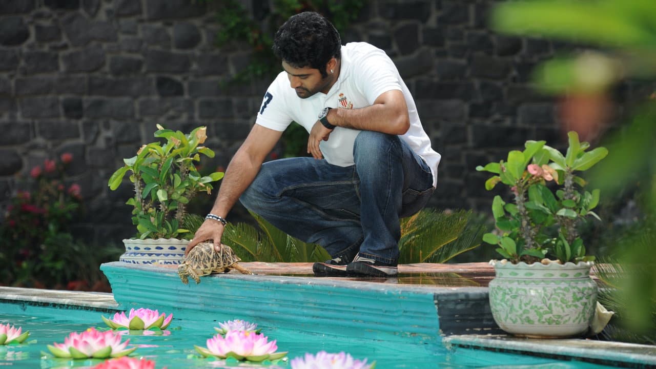 Brindavanam still 6