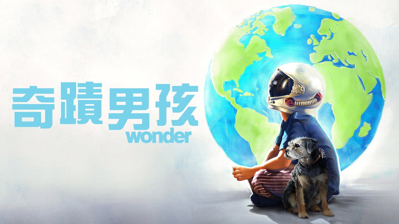 Wonder still 8