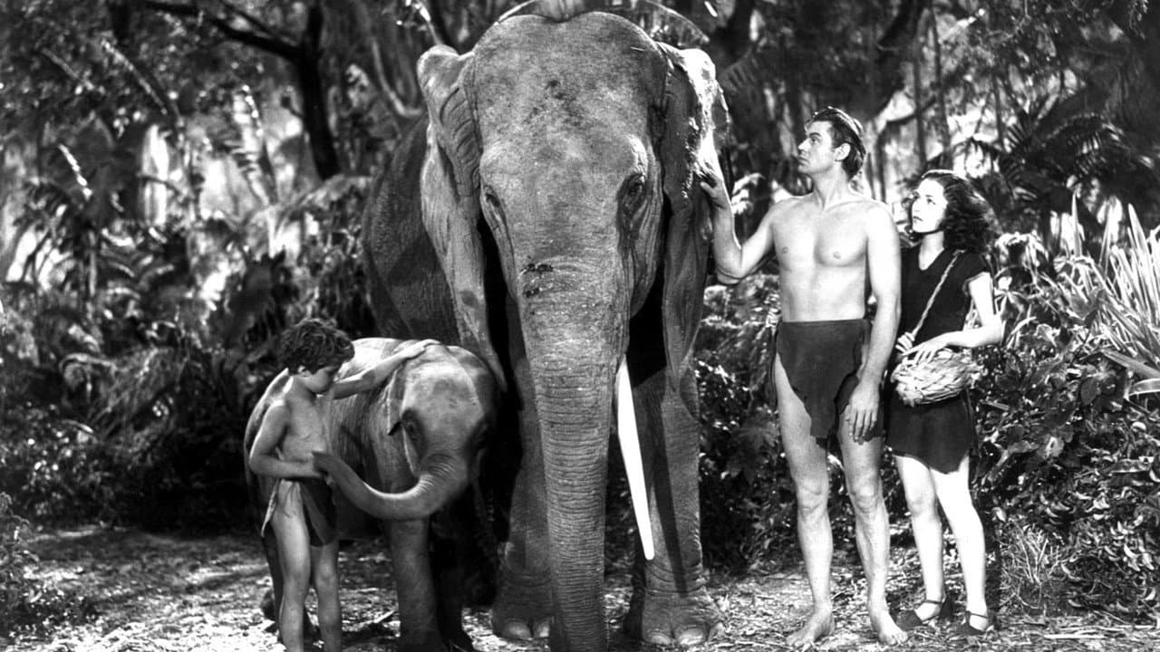Tarzan Finds a Son! still 1