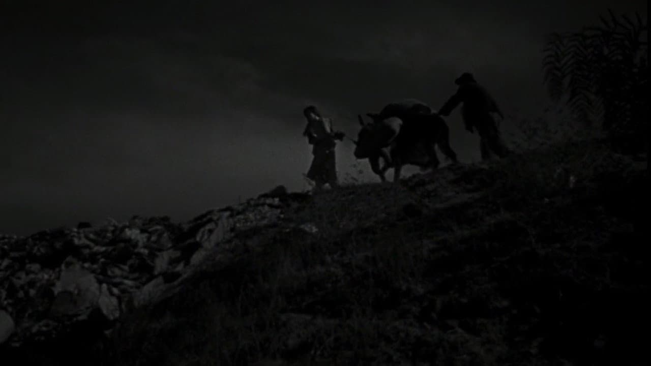 The Young and the Damned still 1