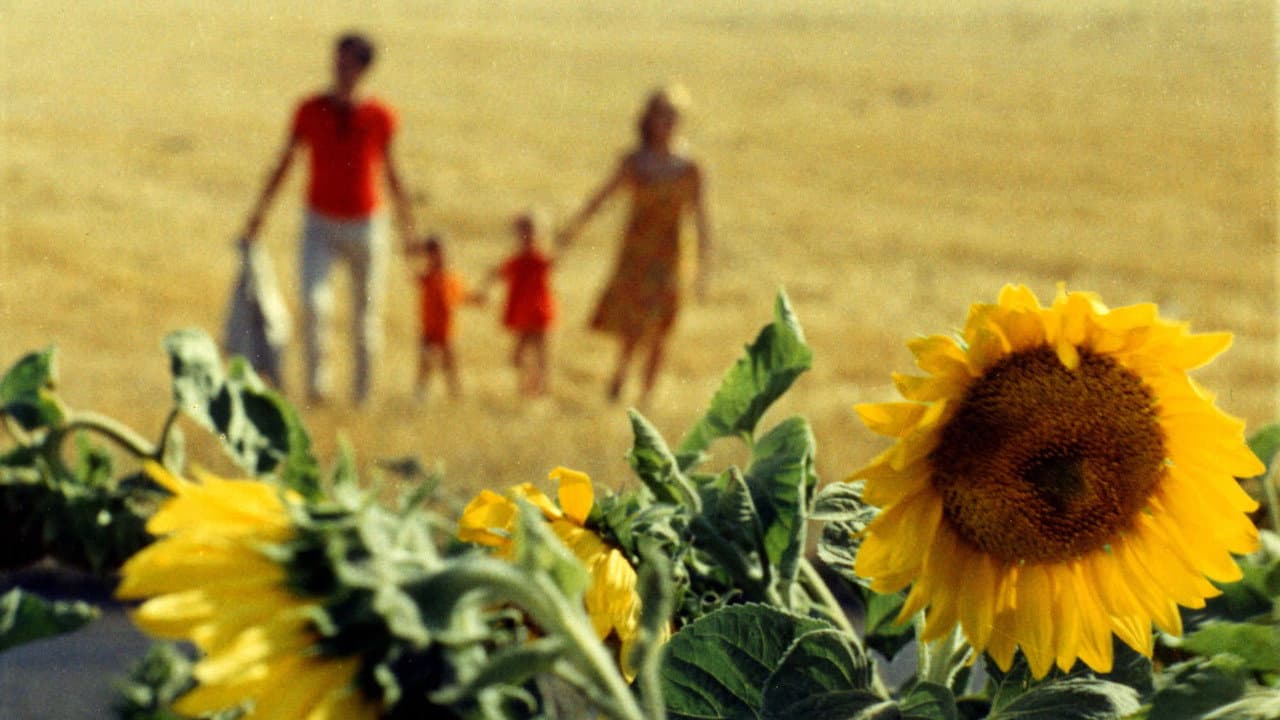 Happiness still 4