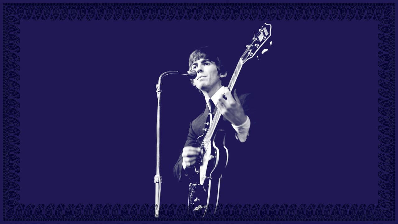 Concert for George still 8
