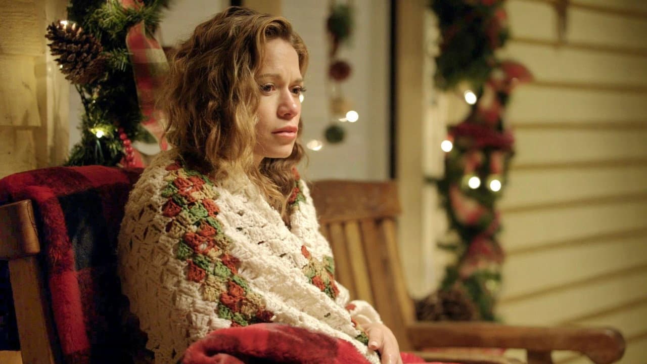 Poinsettias for Christmas still 6