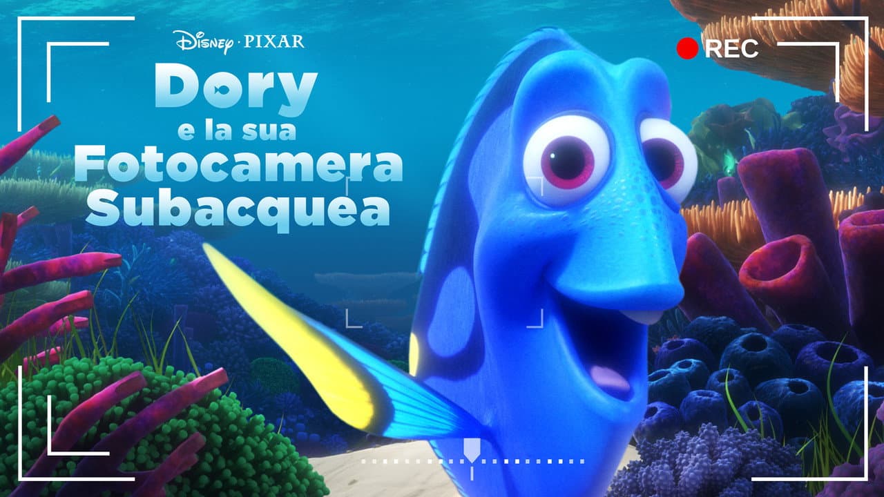 Dory's Reef Cam still 6