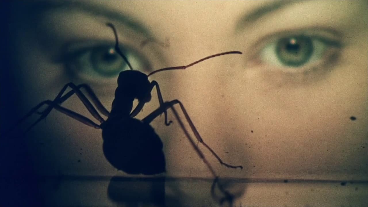 Phase IV still 6