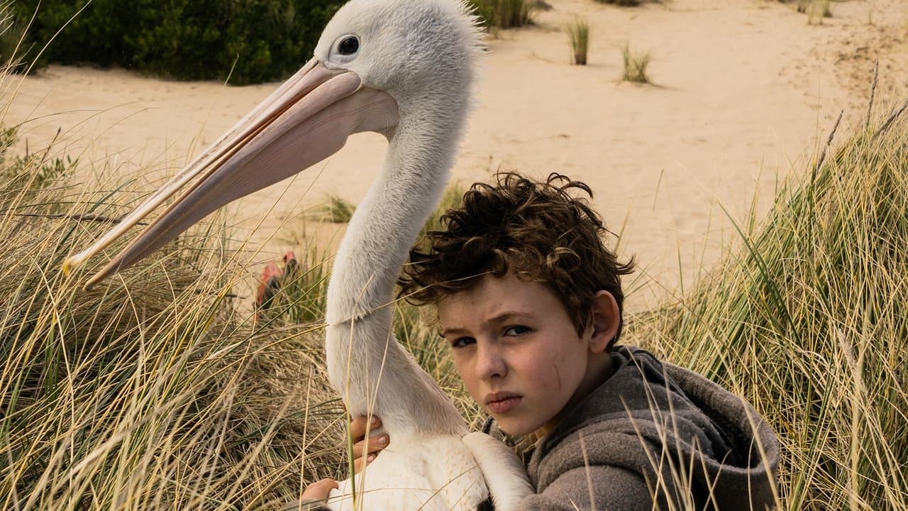 Storm Boy still 1