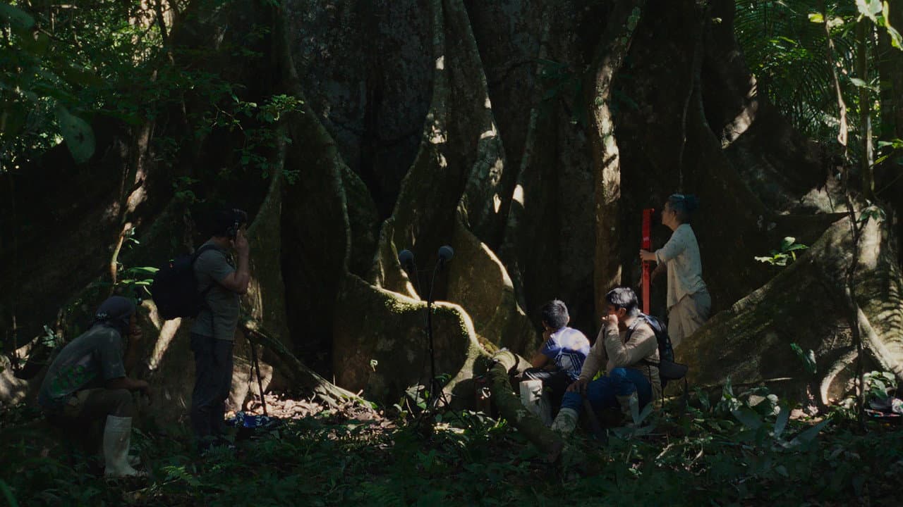 Far From the Trees still 2
