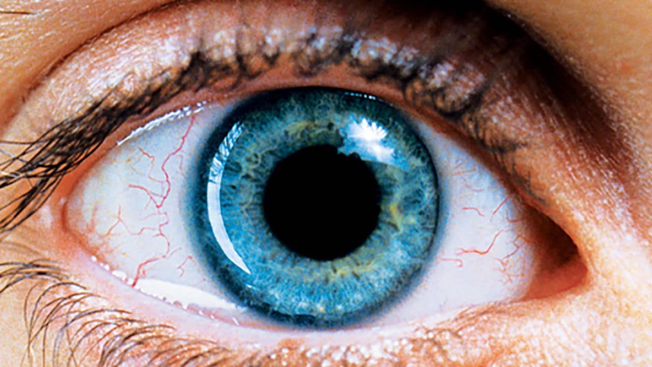 Requiem for a Dream still 2