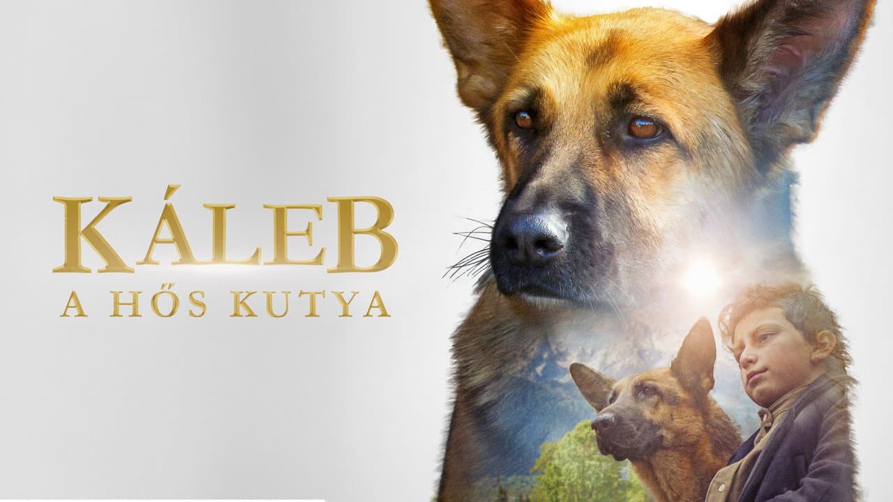Shepherd: The Story of a Jewish Dog still 4