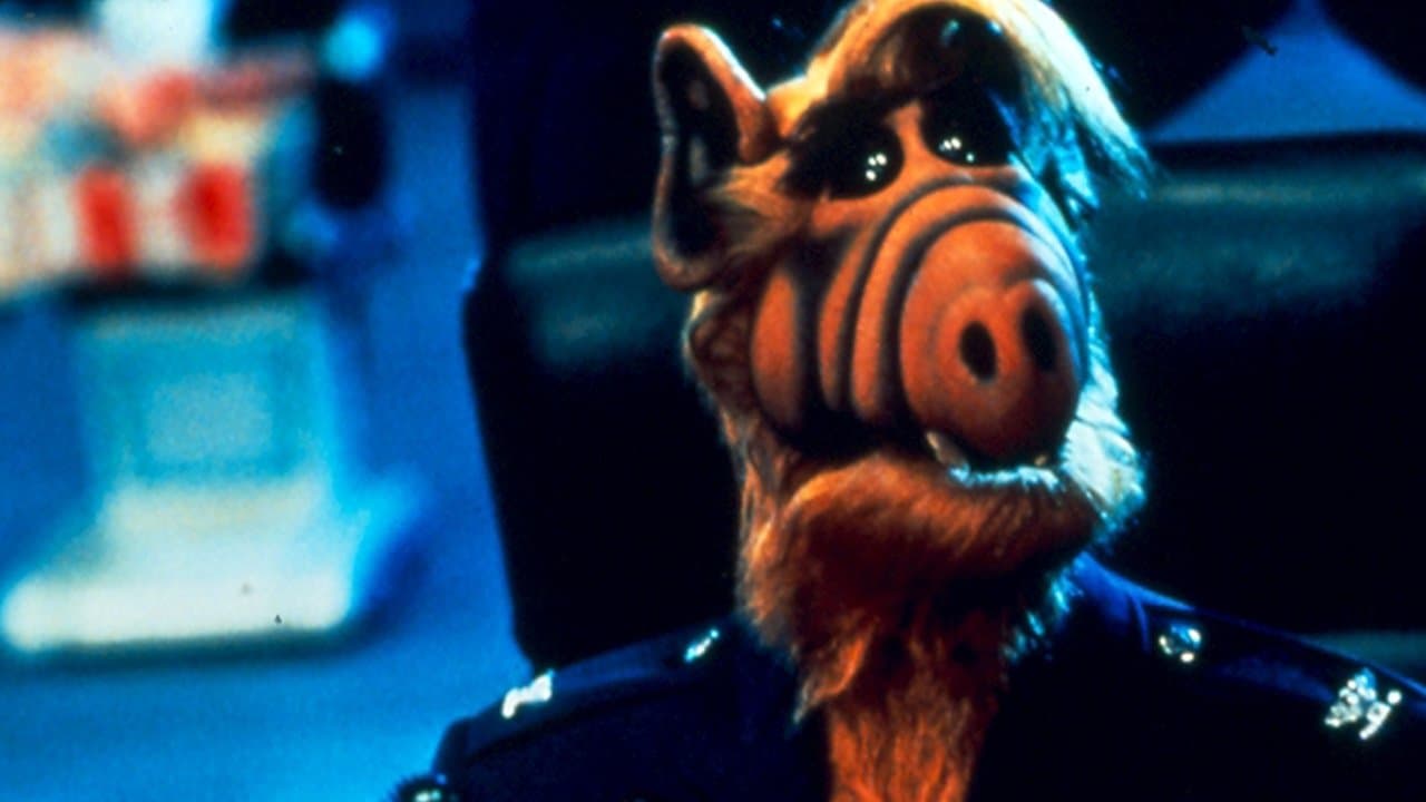 Project: ALF still 1