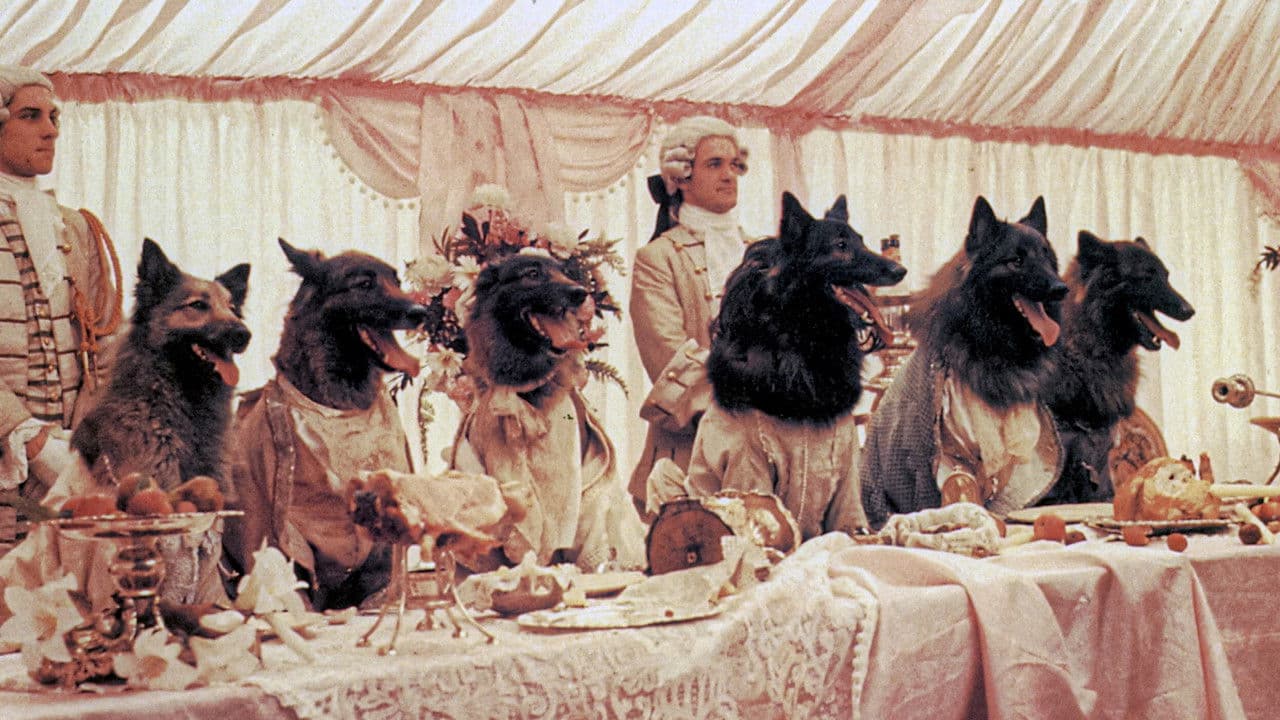 The Company of Wolves still 1