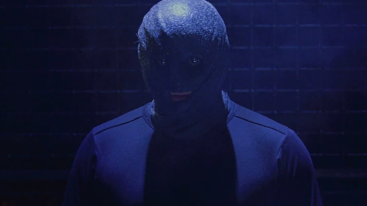 The Collection still 7