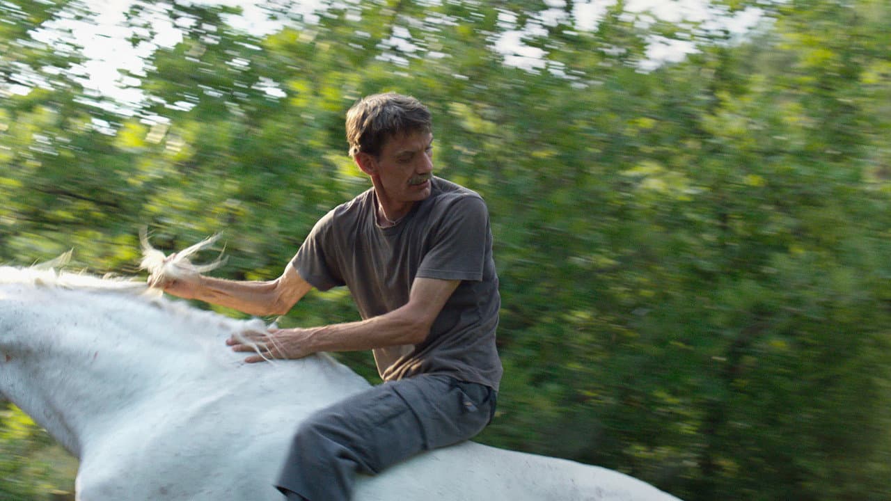 Western still 2