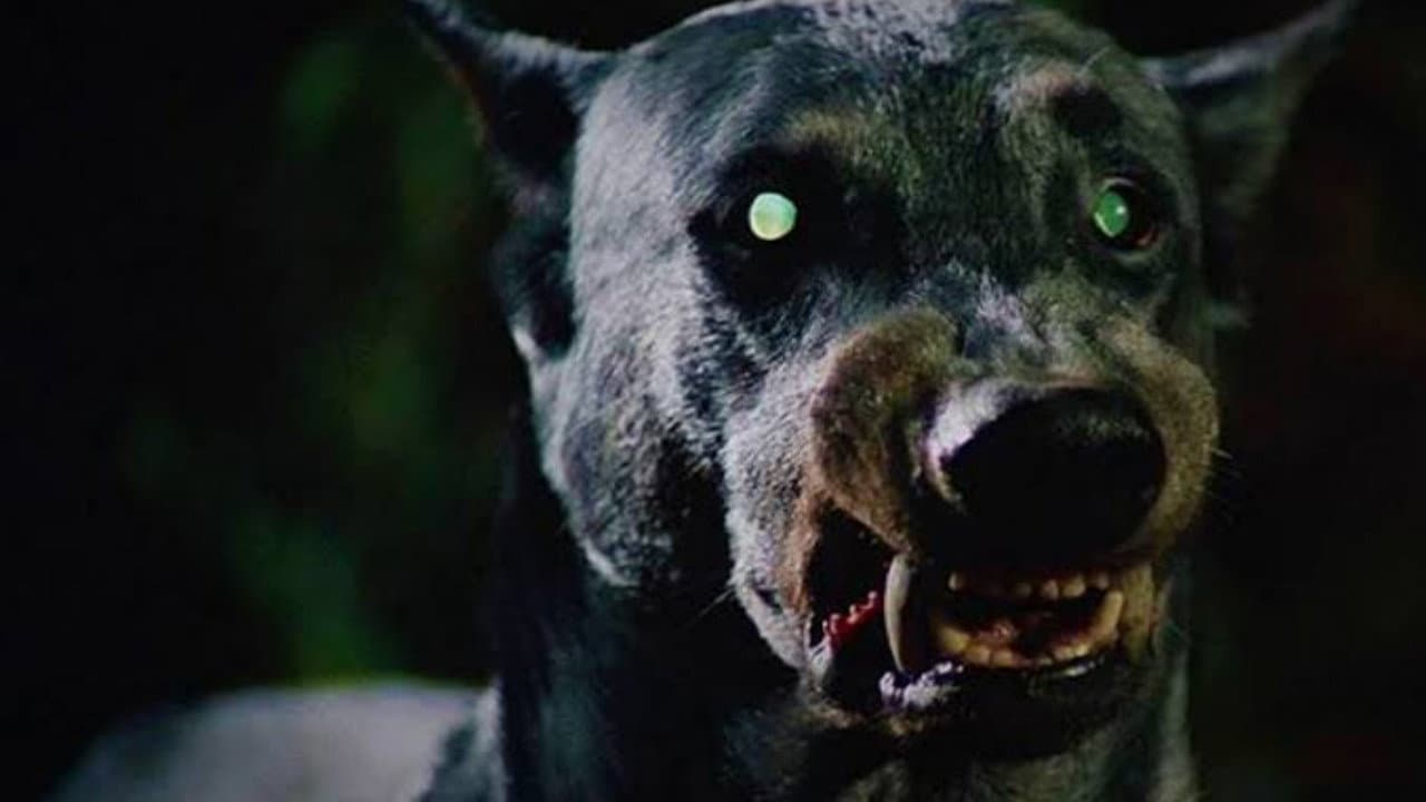 Devil Dog: The Hound of Hell still 3