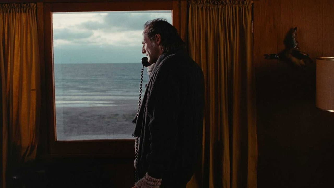 Thirty Two Short Films About Glenn Gould still 4