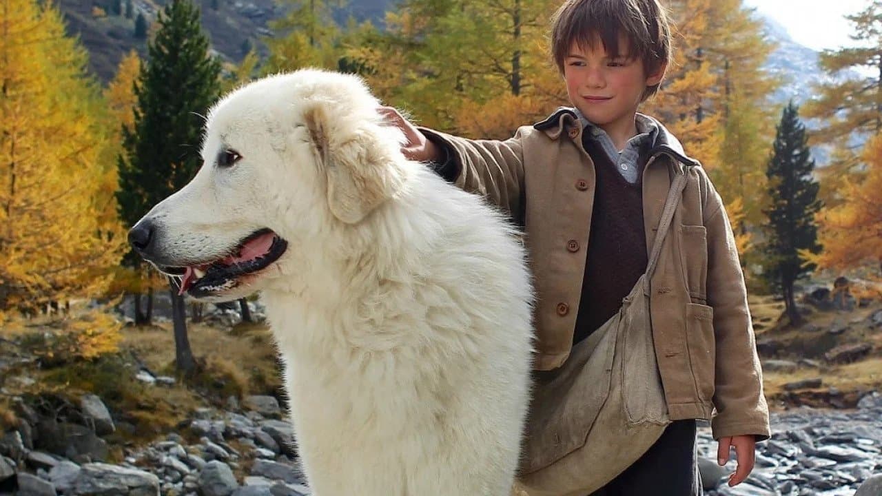 Belle and Sebastian still 2