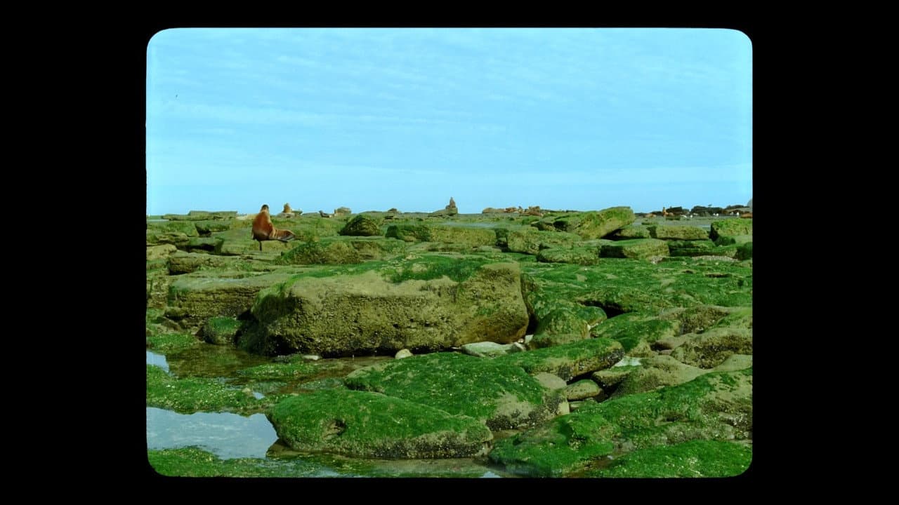 Jauja still 6