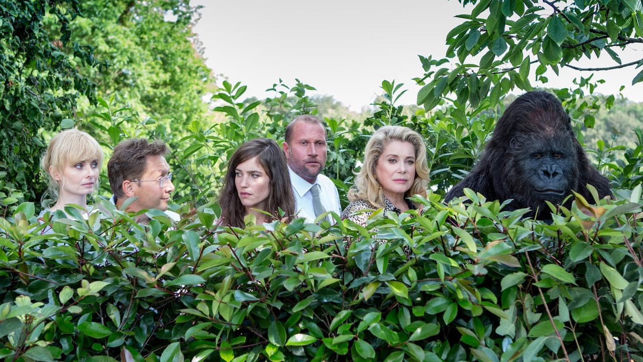 The Brand New Testament still 7