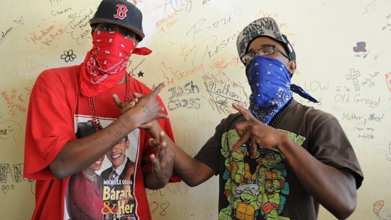 Crips and Bloods: Made in America still 3