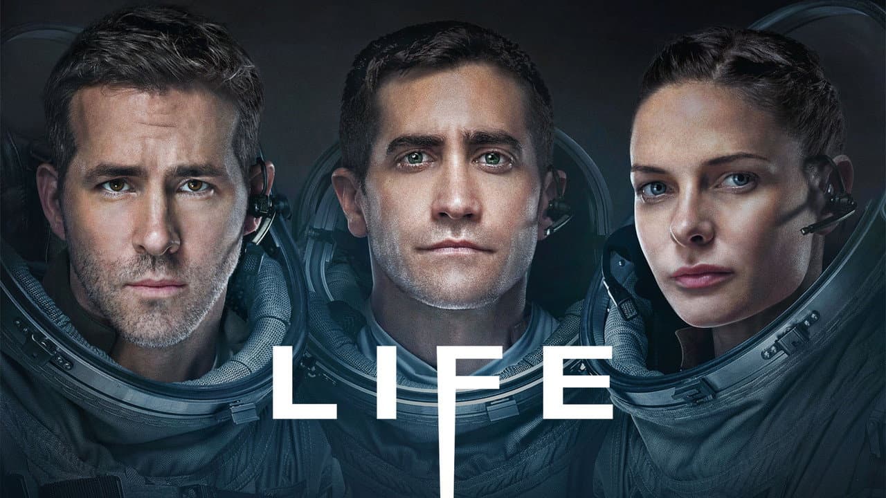 Life still 7
