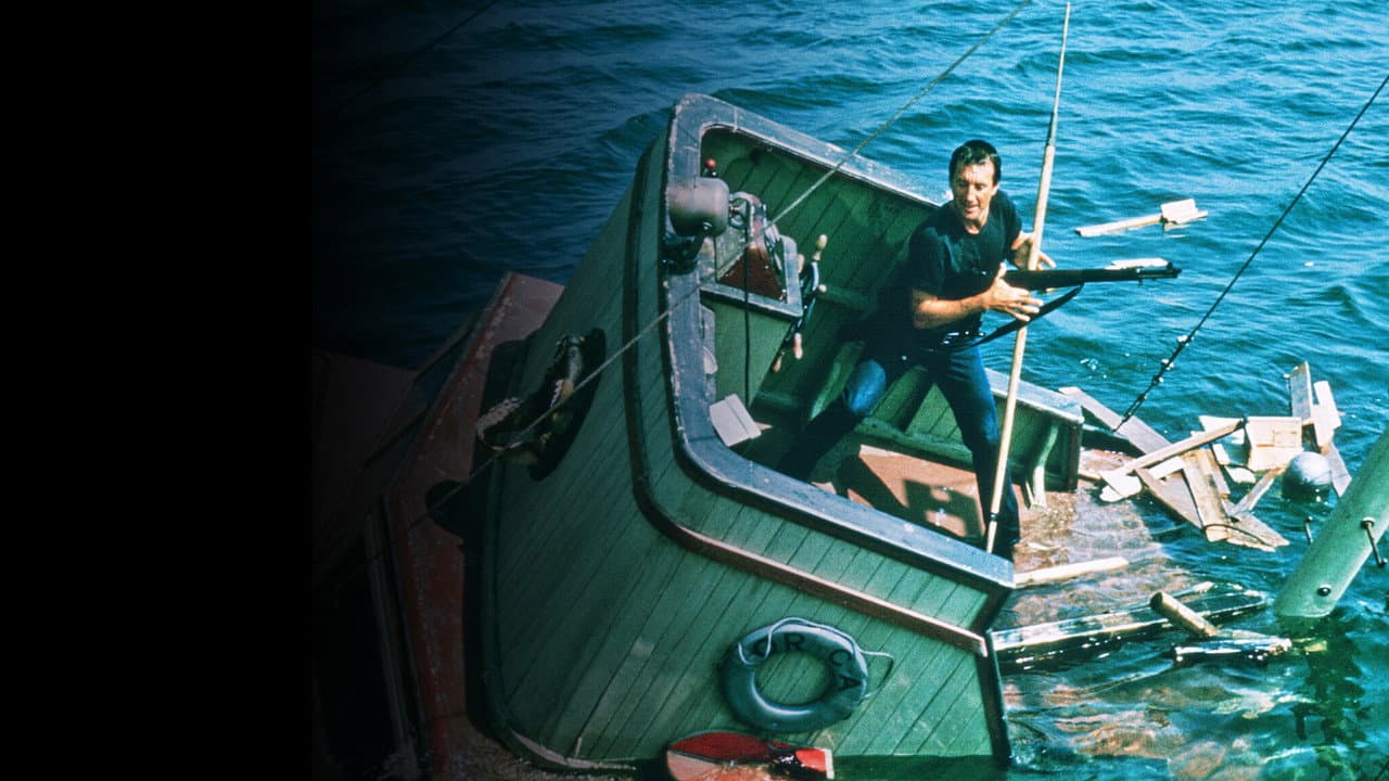 Jaws (1975): Spielberg's Shark Thriller Still Bites still 7