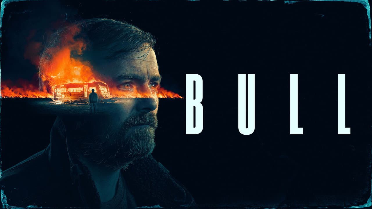 Bull still 3