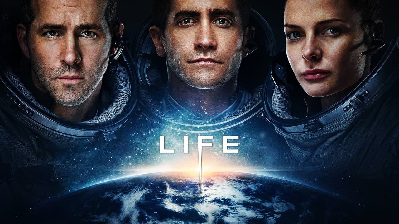 Life still 4