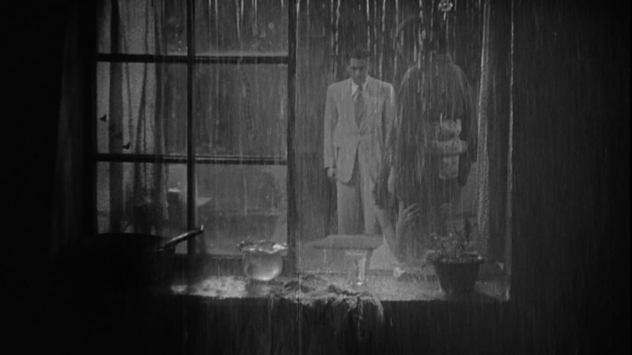 Stray Dog still 4