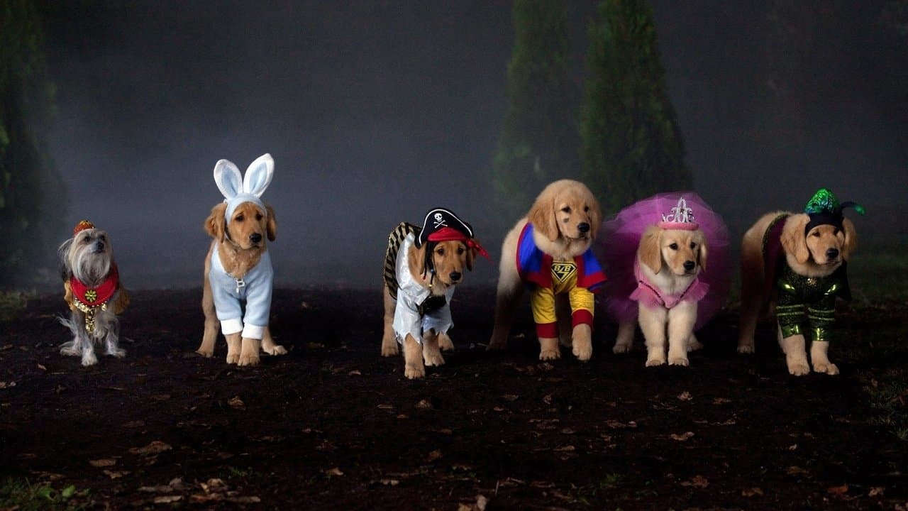 Spooky Buddies still 1
