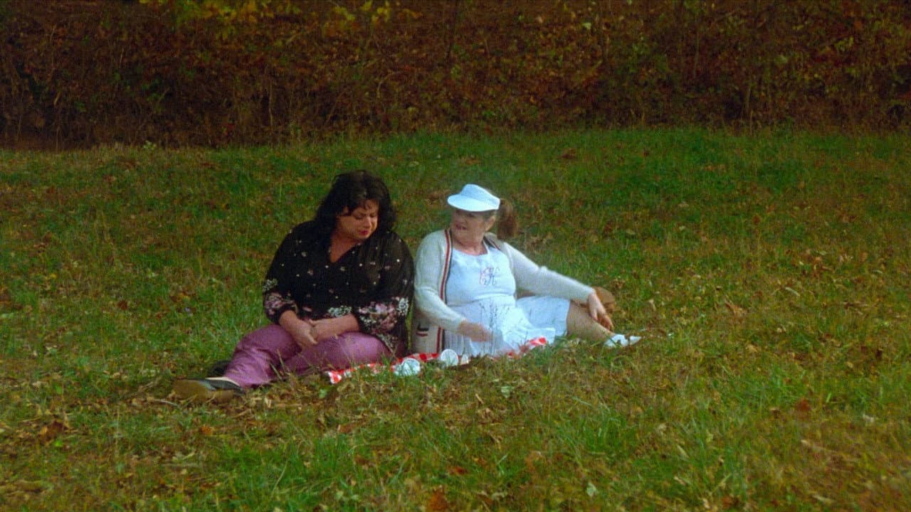 Polyester still 3
