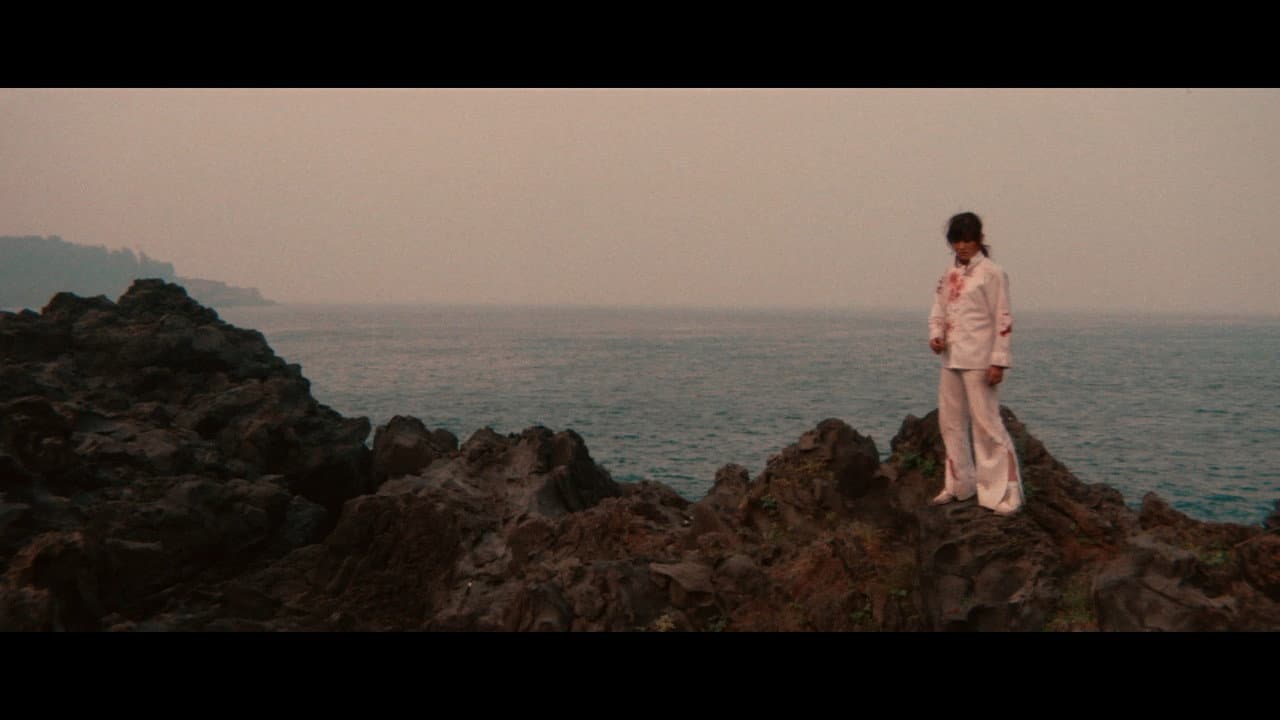 Sister Street Fighter still 8