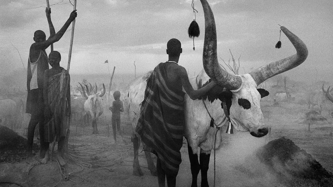 The Salt of the Earth still 5