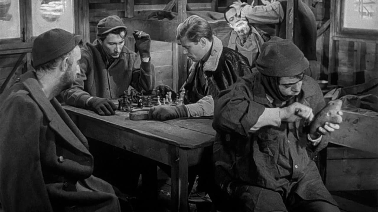 Stalag 17 still 3