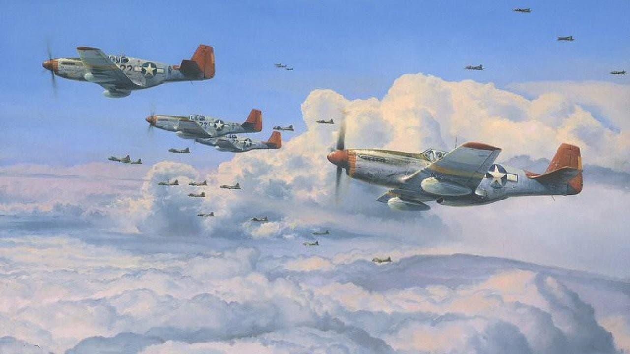 The Tuskegee Airmen still 2