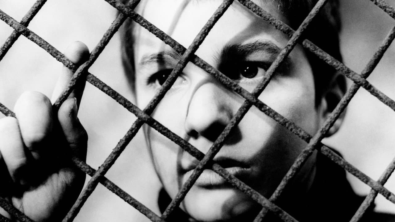 The 400 Blows still 3