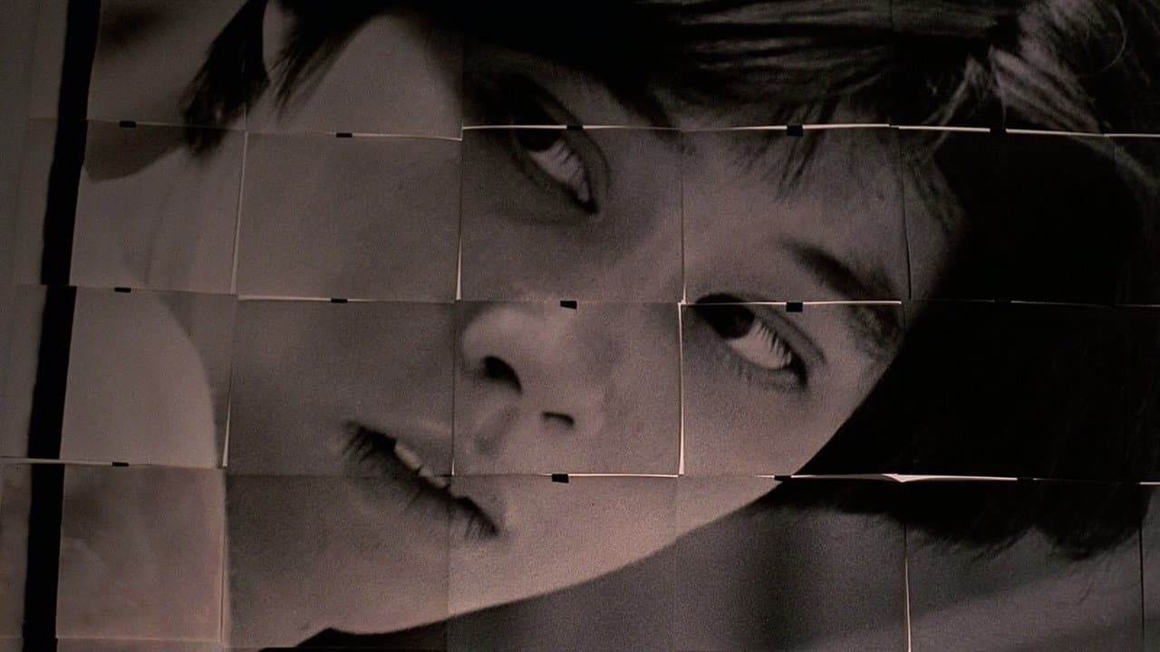 Terrorizers still 5