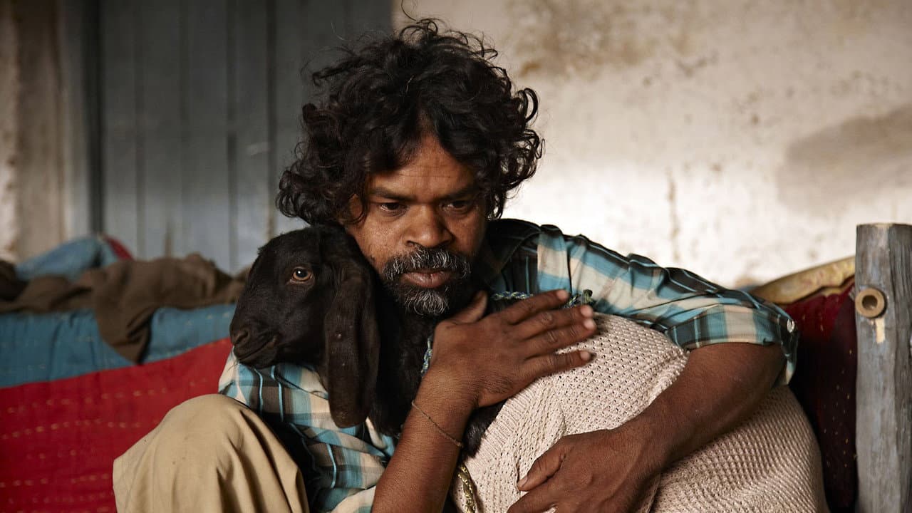 Peepli Live still 6