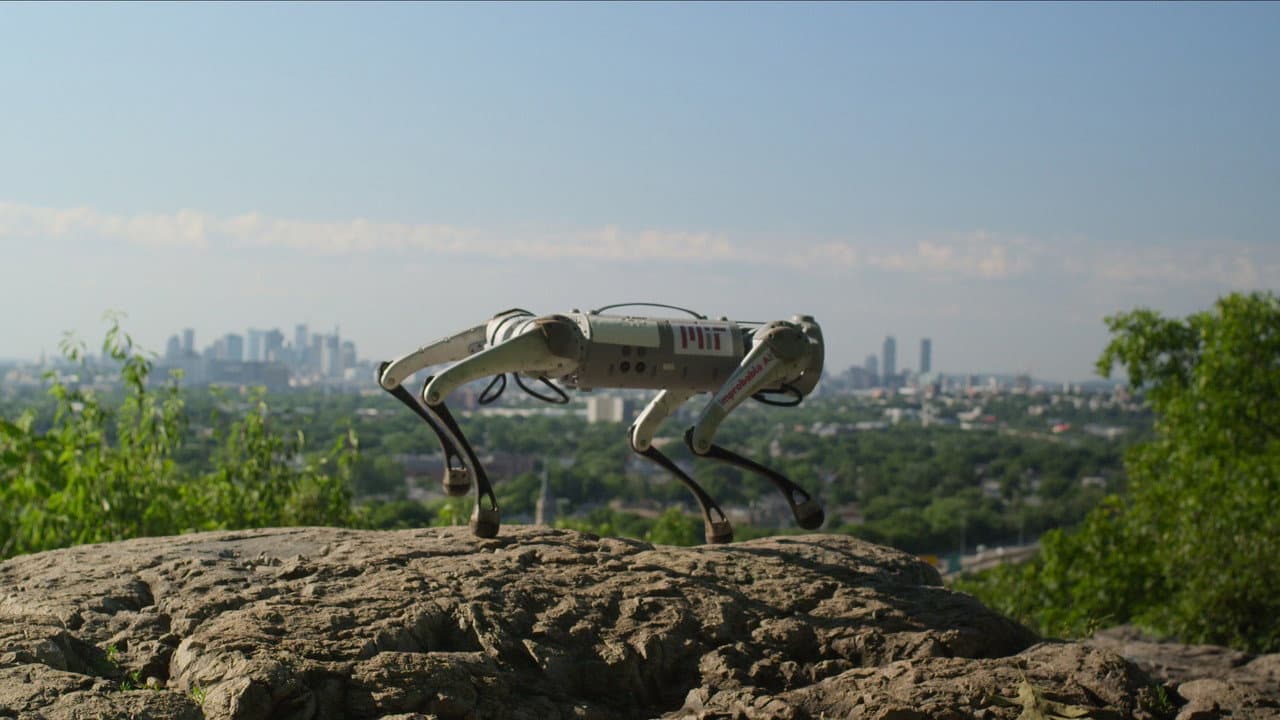 Unknown: Killer Robots still 6